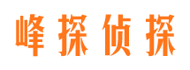 河口区市婚外情调查